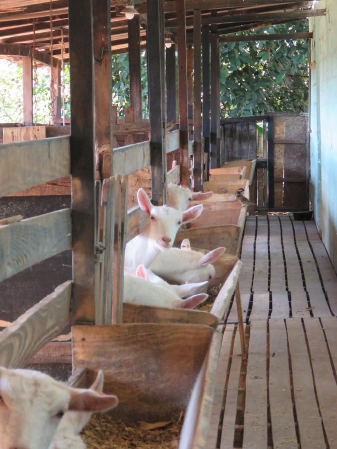 Lagoa Seca Hotel Rural Sao Lourenco  Exterior photo